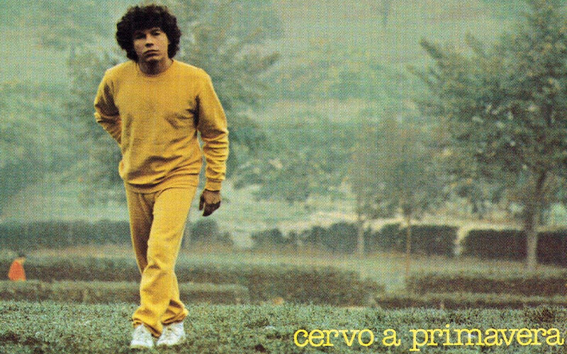 Cervo a primavera